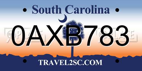 0AXB783 South Carolina License Plate
