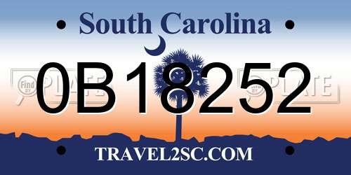 0B18252 South Carolina License Plate