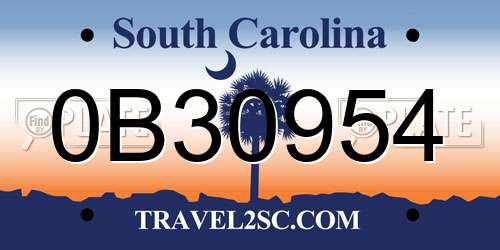 0B30954 South Carolina License Plate
