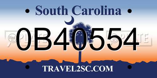0B40554 South Carolina License Plate