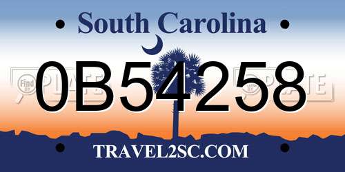 0B54258 South Carolina License Plate
