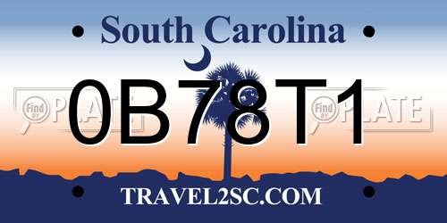0B78T1 South Carolina License Plate