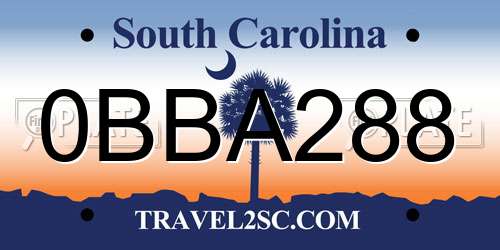 0BBA288 South Carolina License Plate