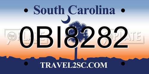 0BI8282 South Carolina License Plate