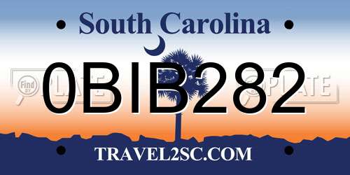 0BIB282 South Carolina License Plate