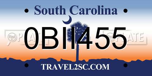 0BII455 South Carolina License Plate
