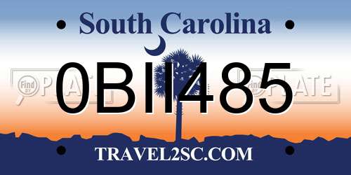 0BII485 South Carolina License Plate