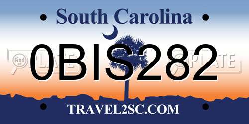 0BIS282 South Carolina License Plate
