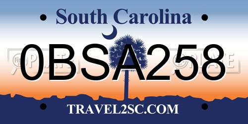 0BSA258 South Carolina License Plate