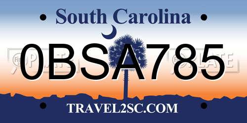 0BSA785 South Carolina License Plate