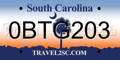 0BTG203 South Carolina License Plate