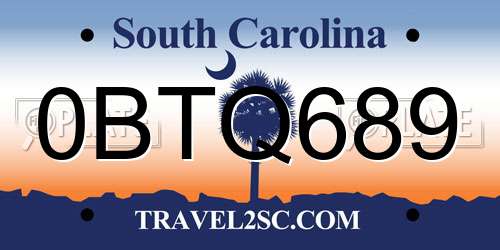 0BTQ689 South Carolina License Plate