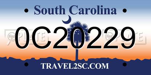 0C20229 South Carolina License Plate