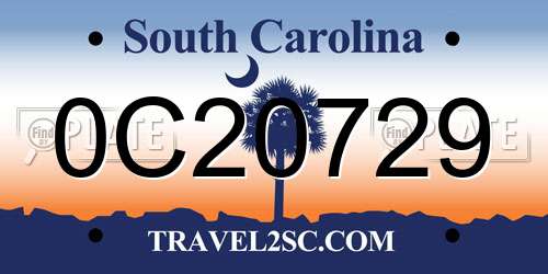 0C20729 South Carolina License Plate