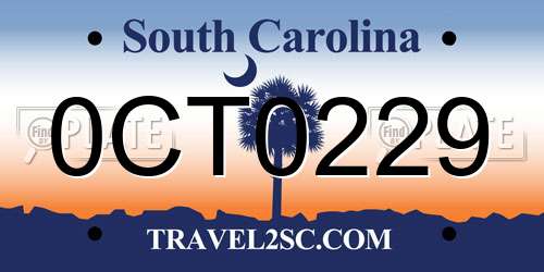 0CT0229 South Carolina License Plate