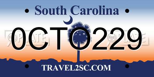 0CTO229 South Carolina License Plate