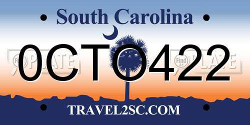 0CTO422 South Carolina License Plate