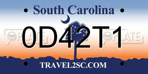 0D42T1 South Carolina License Plate