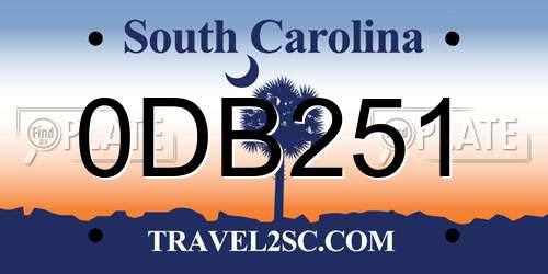 0DB251 South Carolina License Plate