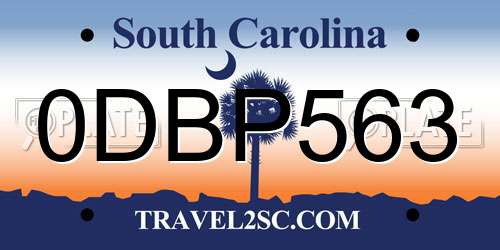 0DBP563 South Carolina License Plate