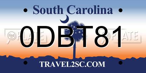 0DBT81 South Carolina License Plate
