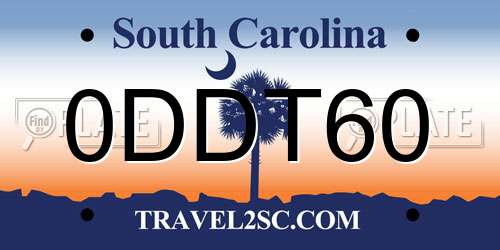 0DDT60 South Carolina License Plate
