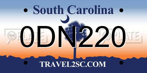 0DN220 South Carolina License Plate