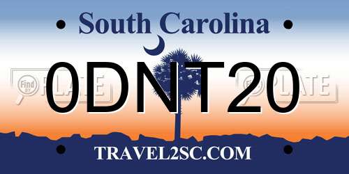 0DNT20 South Carolina License Plate
