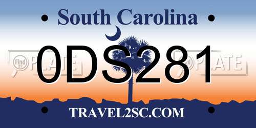 0DS281 South Carolina License Plate