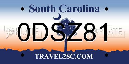 0DSZ81 South Carolina License Plate