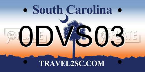 0DVS03 South Carolina License Plate