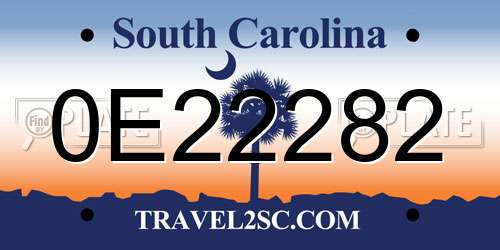 0E22282 South Carolina License Plate