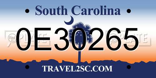 0E30265 South Carolina License Plate