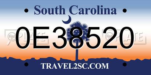 0E38520 South Carolina License Plate