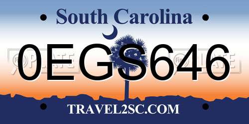 0EGS646 South Carolina License Plate