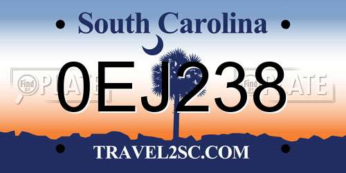 0EJ238 South Carolina License Plate