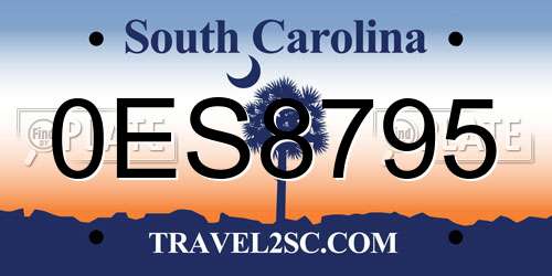 0ES8795 South Carolina License Plate