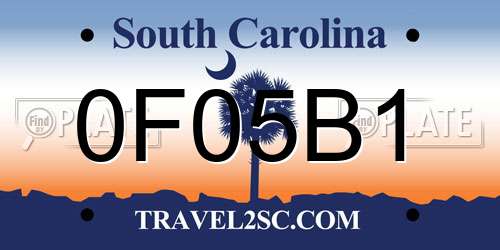 0F05B1 South Carolina License Plate