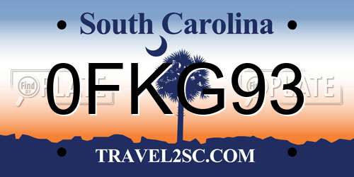 0FKG93 South Carolina License Plate