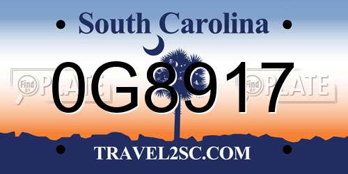 0G8917 South Carolina License Plate