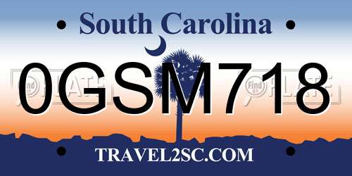0GSM718 South Carolina License Plate