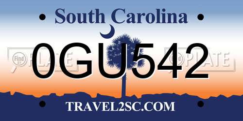 0GU542 South Carolina License Plate
