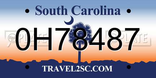 0H78487 South Carolina License Plate
