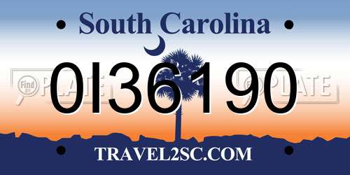 0I36190 South Carolina License Plate