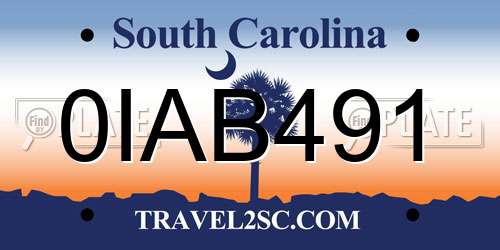0IAB491 South Carolina License Plate