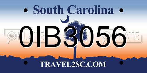 0IB3056 South Carolina License Plate