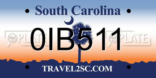 0IB511 South Carolina License Plate