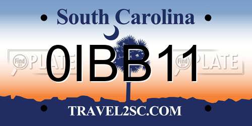 0IBB11 South Carolina License Plate