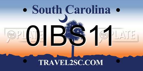 0IBS11 South Carolina License Plate