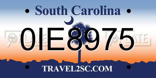 0IE8975 South Carolina License Plate